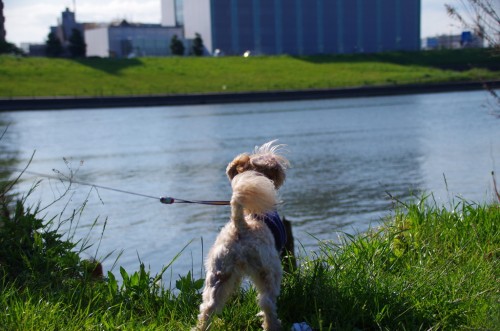 IMGP1466 IMGP1466